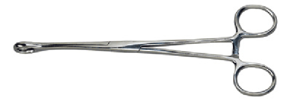 Ballenger Sponge Forceps (GF 2730)