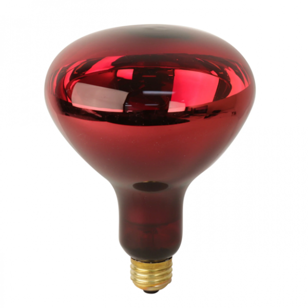 Light Bulb For Heat Lamps(for IR-300, IR-300A)