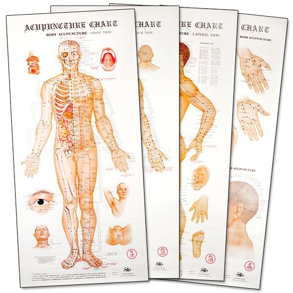 Acupuncture Wall Chart Posters