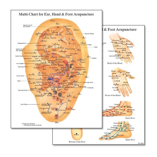 Multi-Chart for Ear, Hand & Foot Acupuncture