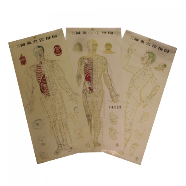 Body Acupuncture Wall Chart Set