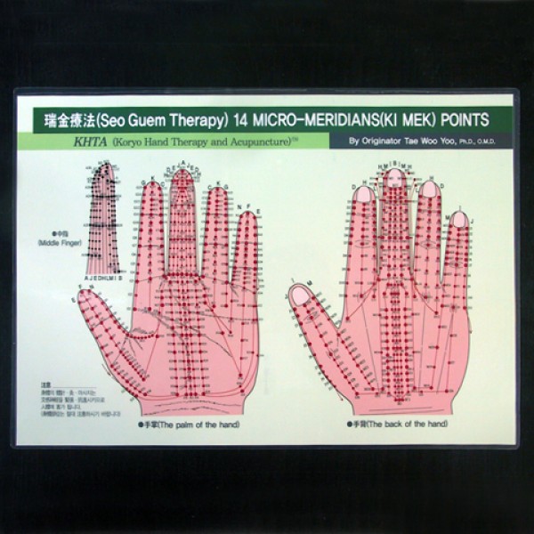 Koryo Hand Therapy - 14 Micro-Meridians(Ki Mek) Points