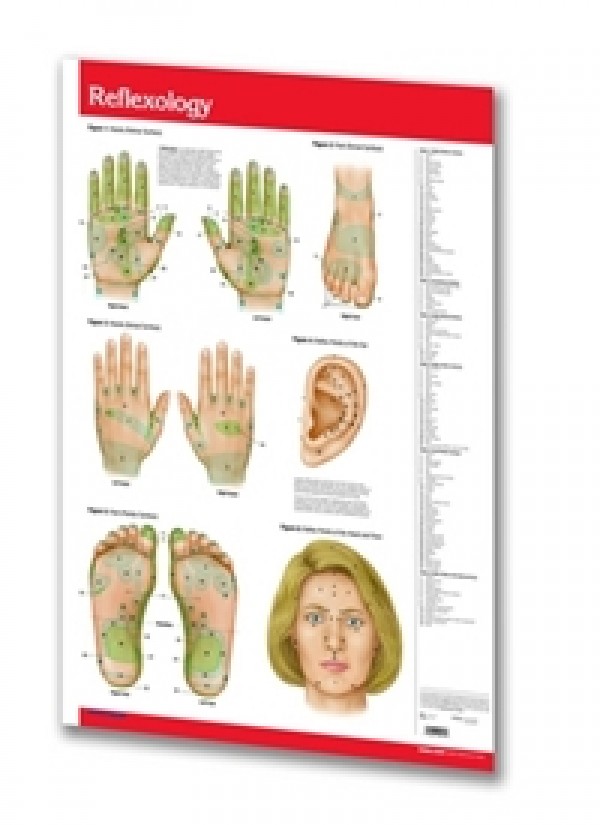 Acupuncture / Reflexology - Poster Size