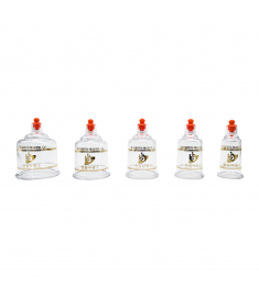 Hansol REGULAR Plastic Cupping Cups(10 pcs/Box)