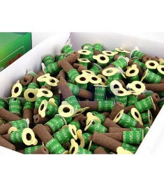 Kanghwa Stick-on mini Moxa - Green(강화미니뜸)