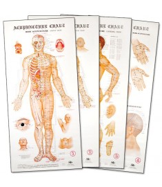 Acupuncture Wall Chart Posters