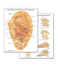 Multi-Chart for Ear, Hand & Foot Acupuncture