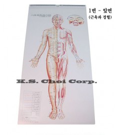 Body Acup. Point CALENDAR Chart Set