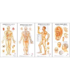 Acupuncture Wall Chart Posters