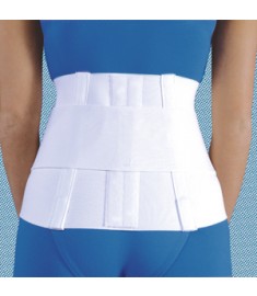 (#1081) 10" Elastic Double Pull Back Support 