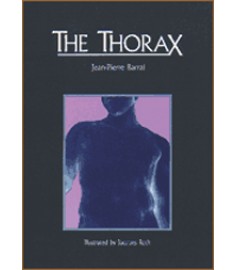 The Thorax