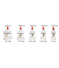 Hansol REGULAR Plastic Cupping Cups(10 pcs/Box)