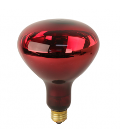 Light Bulb For Heat Lamps(for IR-300, IR-300A)