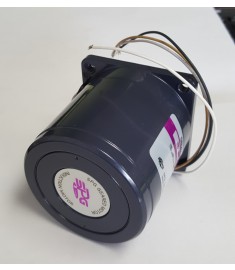 Motor for Techno Packing Machine