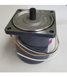 Motor for Techno Packing Machine