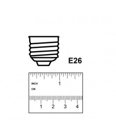 Light Bulb For Heat Lamps(for IR-300, IR-300A)