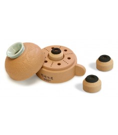 Turtle Moxa Device - Large