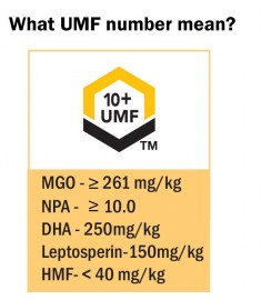Manuka Honey: UMF 10+  - 500 grams(1.1 lb) by API Health 