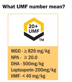 Manuka Honey: UMF 20+  - 500 grams(1.1 lb) by API Health 