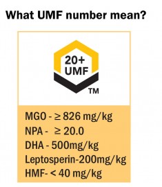 New Zealand Manuka Honey: UMF 20+  - 500 grams(1.1 lb) by API Health 