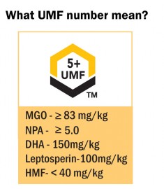 Manuka Honey: UMF 5+  - 500 grams(1.1 lb) by API Health 